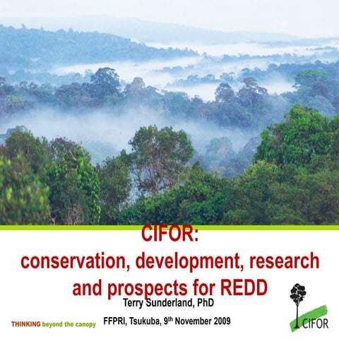 CIFOR: conservation, development, research and prospects for REDD