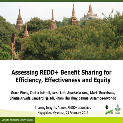 Assessing REDD+ Benefit Sharing for Efficiency, Effectiveness and Equity