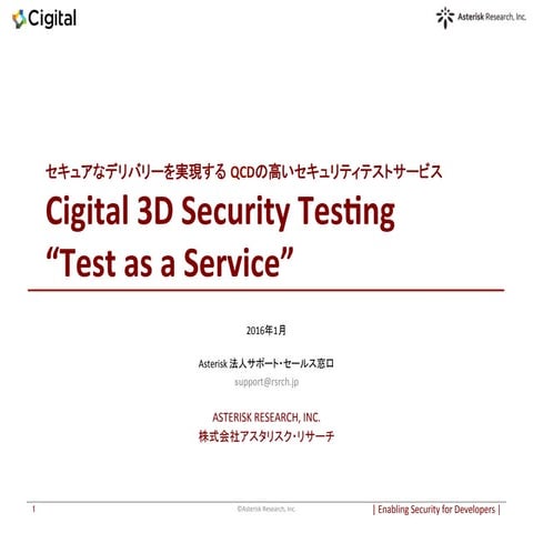 Cigital 3D Security Testing