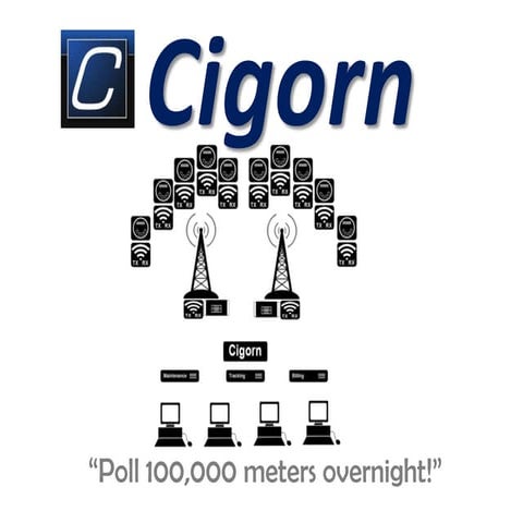Cigorn smart grid meter reading 2013