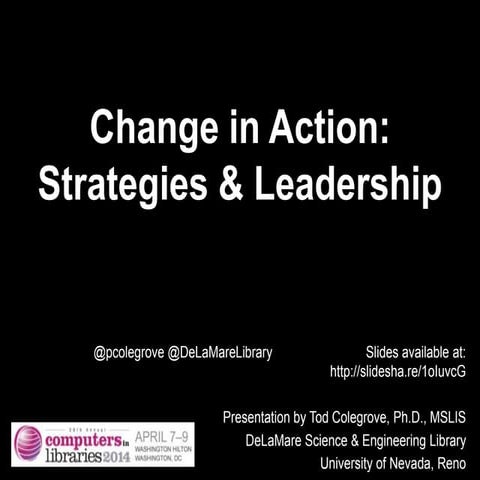 Change in Action: Strategies & Leadership