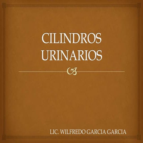 Cilindros Urinarios. Clase de Lic. Wilfredo Garcia
