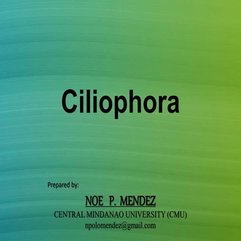 Ciliophora