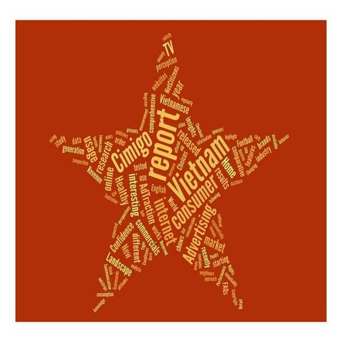 [Cimigo VN] Net citizens Việt Nam -2012