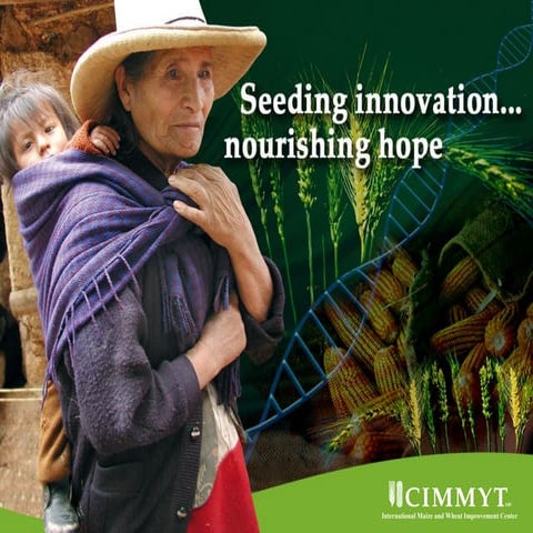 Cimmyt In Africa 2009