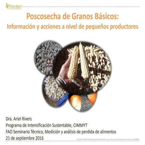 Poscosecha de Granos Básicos:  Información y acciones a nivel de pequeños pro...