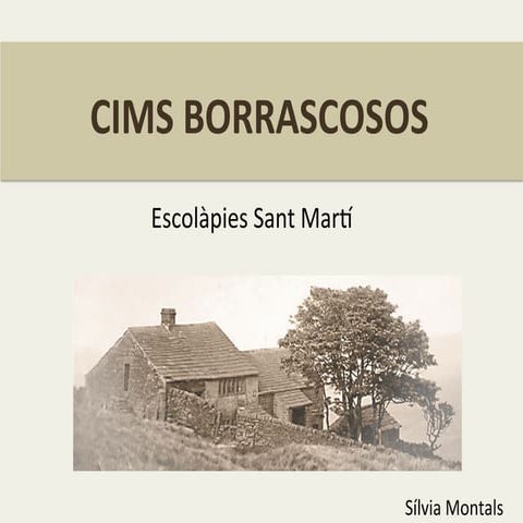 Cims borrascosos