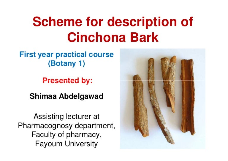 scheme-for-description-of-cinchona-bark
