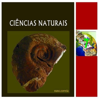 Ciências naturais 7   história da t...