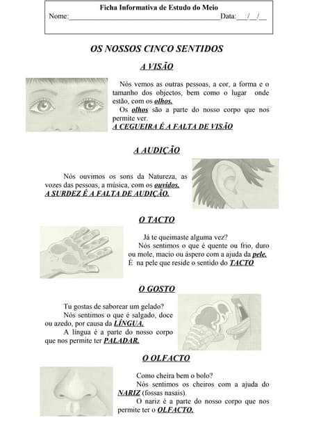 Cinco sentidos   i