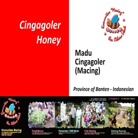 Cingagoler honey