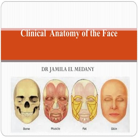 Cinical Anatomy of Face for anatomy studies.pdf