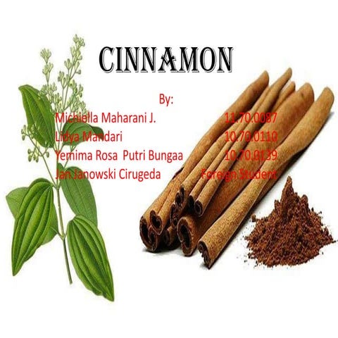 Cinnamon fix | PPTX