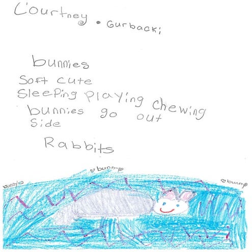 Cinquain Poems Miss. Bovalino's 2nd Grade Class