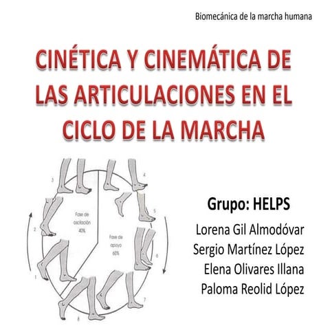 Cinética y cinemática de las articulaciones del ciclo de la marcha