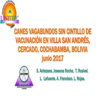 CANES VAGABUNDOS SIN CINTILLO DE VACUNACIÓN 