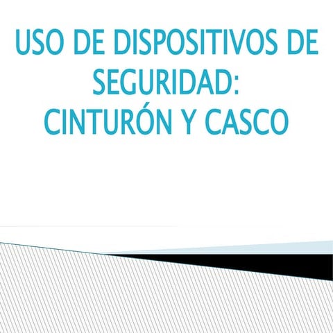 Cinturon y casco comunitariab