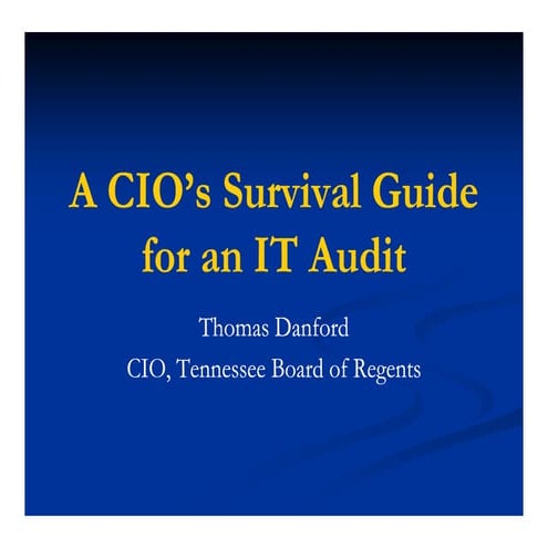 CIO IT Audit Survival TNS07