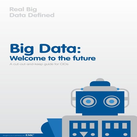 Big Data: A CIO’s Cut Out and Keep Guide | PDF