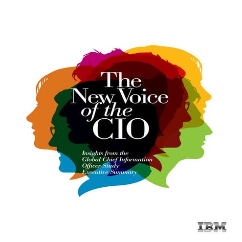 IBM CIO Summary 2009