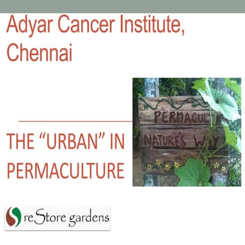 An Organic Edible Garden at the Cancer Institute, Chennai. 
