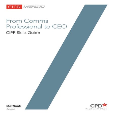 CIPR - Comms Pro to CEO