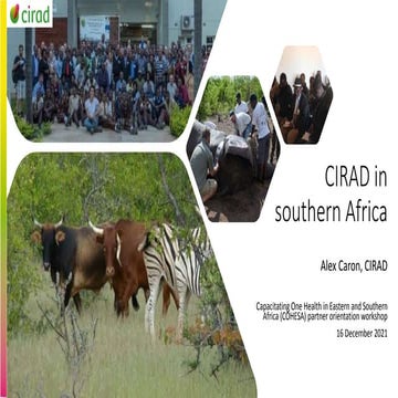 CIRAD in southern Africa