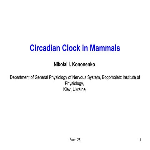Circadian clock in mammals | PPT