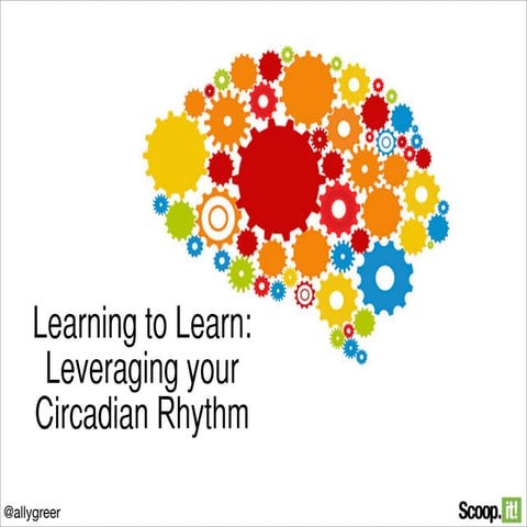 Learning to Learn: Leveraging your Circadian Rhythm