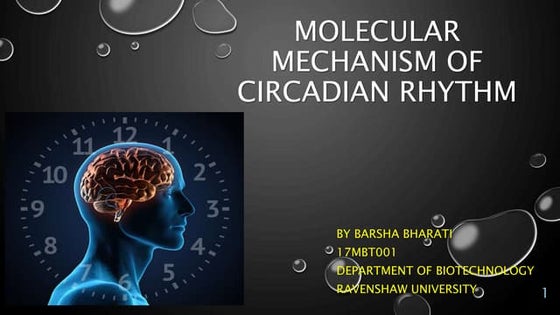 Circadian Rhythm & Jet lag | PPT
