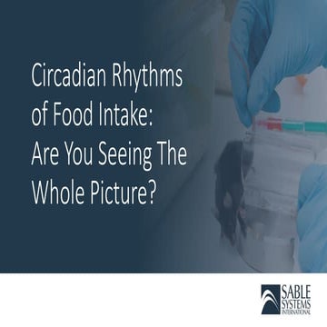 Circadian Rhythms of Food Intake: Are You Seeing The Whole Picture? 