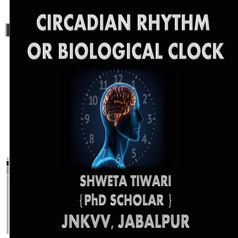 Circardium rhythm converted