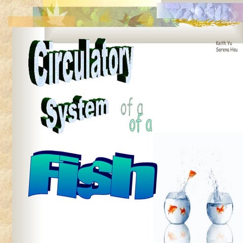 Circle Fish | PPT
