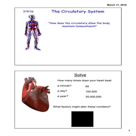 The Blood | PPT
