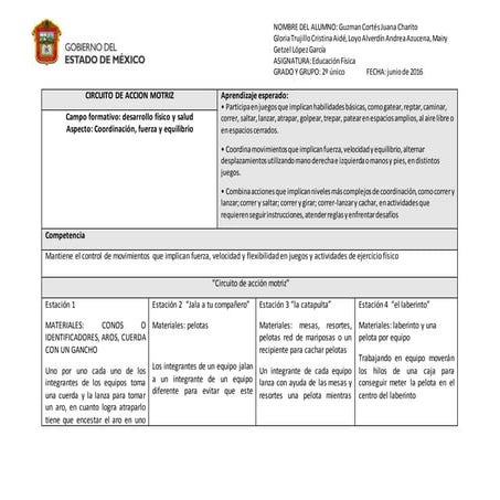Circuito de-accion-motriz