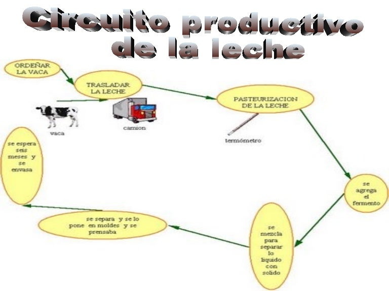 Circuito la leche