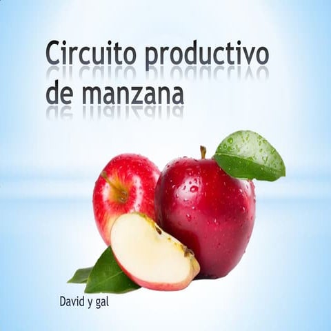 Circuito productivo de las manzanas David y Gal