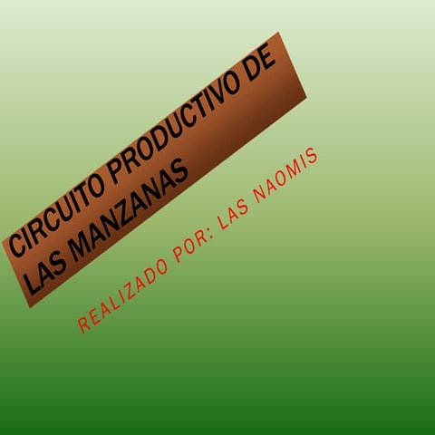 Circuito productivo de las manzanas - Naomis 