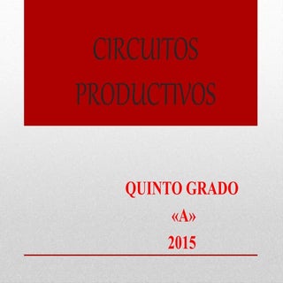 Circuitos productivos 5ºA