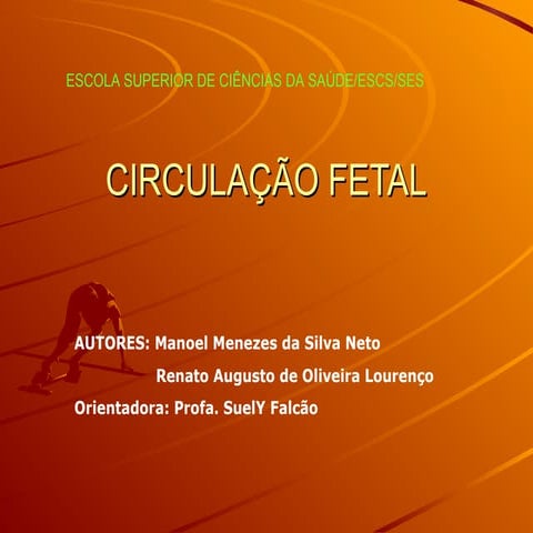 circulacaofetal, circulação fetal, cippt | PPT