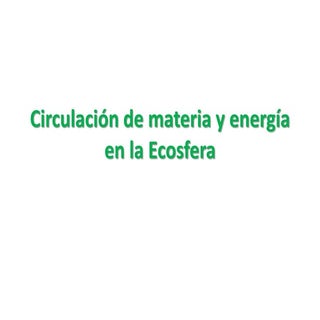 Circulación de materia y energía en...