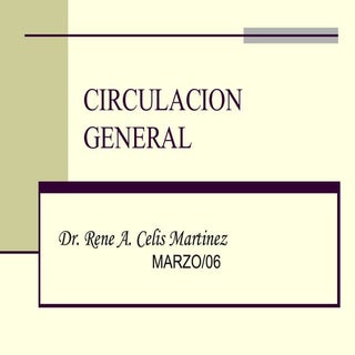 Circulacion General