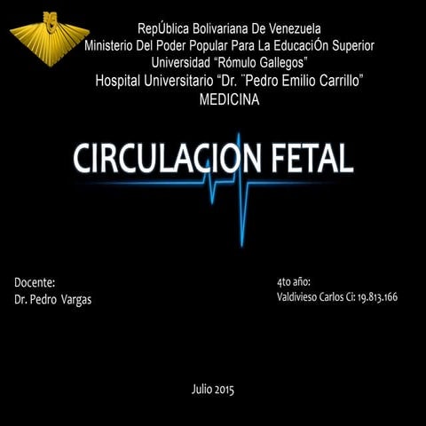 Circulacion fetal