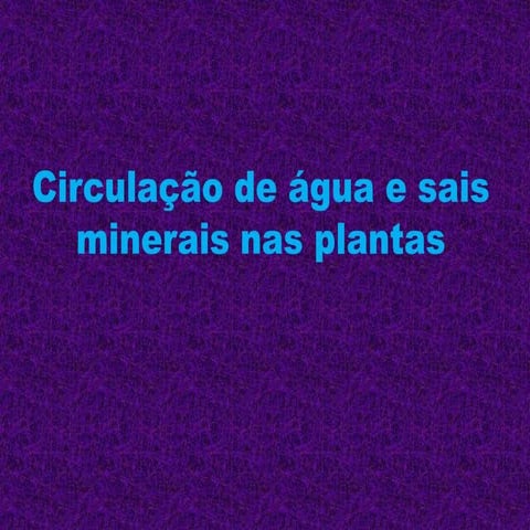 Circulação de água e sais minerais nas plantas