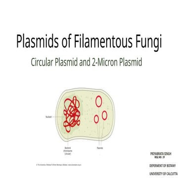 Circular-Plasmid-and-2-Micron-Plasmid.pptx