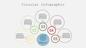 Circular Infographic