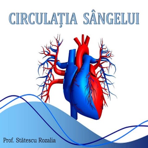 Circulatia sangelui  