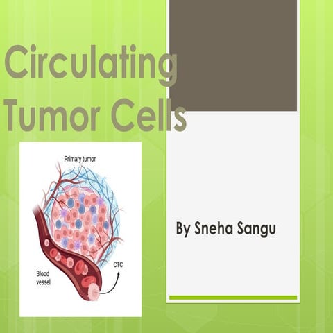 Circulating Tumor Cells - a novel approach for faster detection of ...