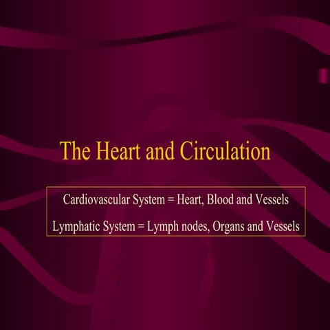 Circulation | PPT