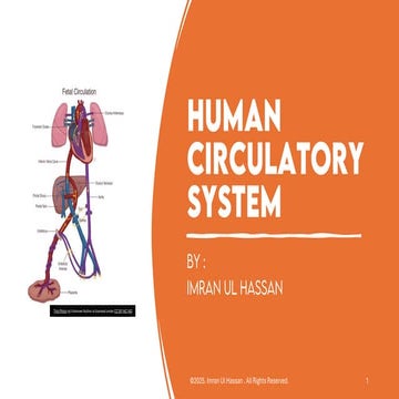 Sheep Heart CirculatoryRespiratory Dissection Lab Sheep .pdf